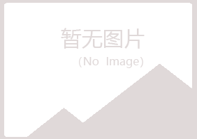 银川西夏曹培能源有限公司